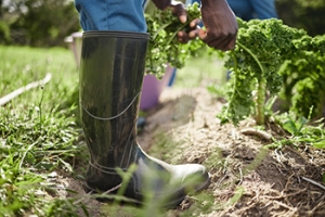 Wearing the Right Shoes While Landscaping